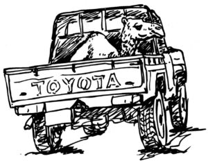 mauritanie-toyota